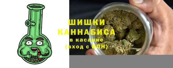 шишки Баксан