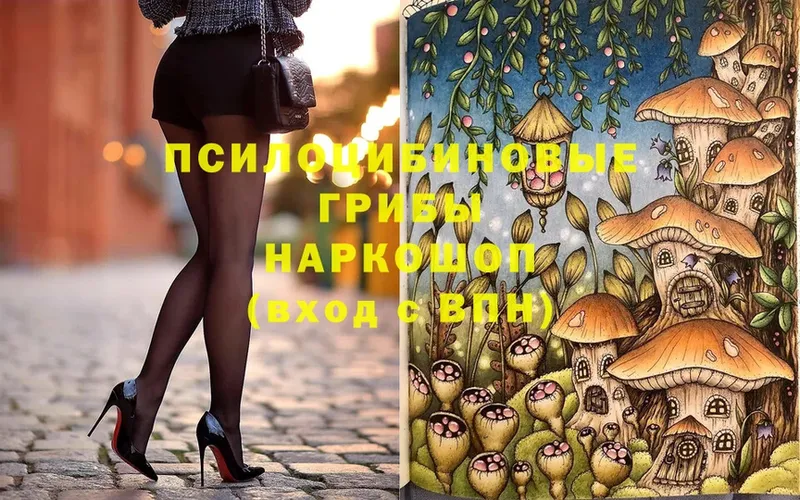 где купить наркоту  Демидов  Псилоцибиновые грибы Psilocybe 