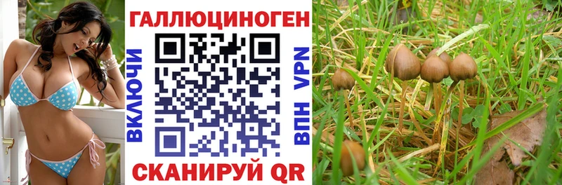 где купить наркоту  блэк спрут ссылки  Псилоцибиновые грибы Cubensis  Демидов 